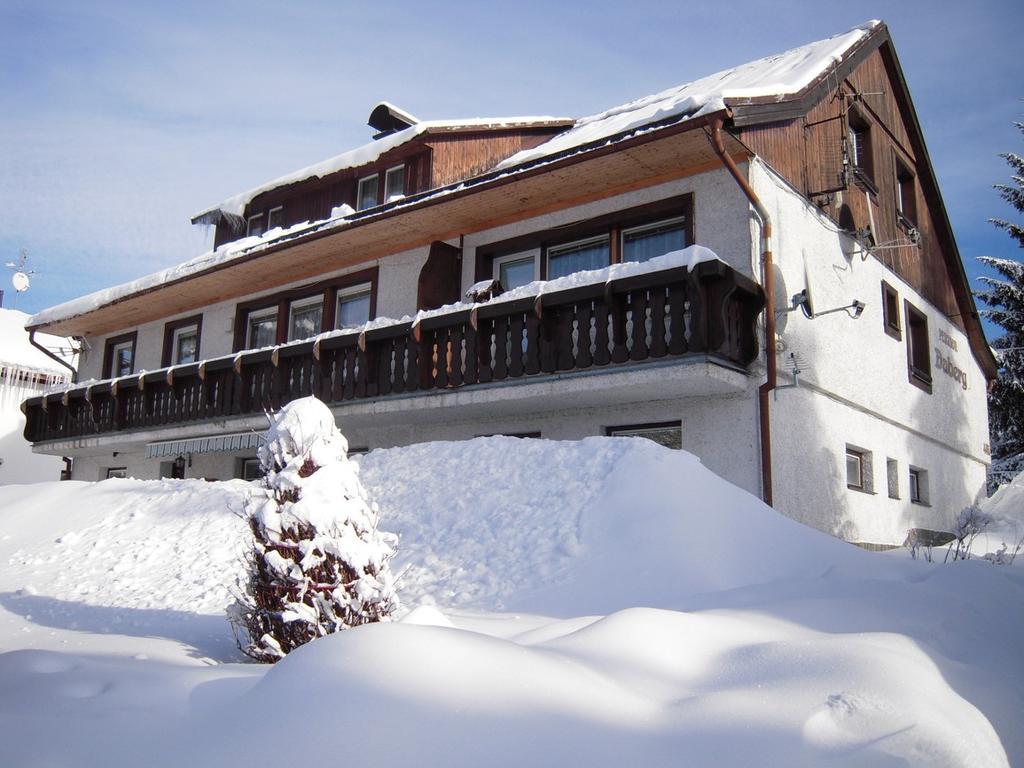 Pension Daberg Otel Harrachov Dış mekan fotoğraf